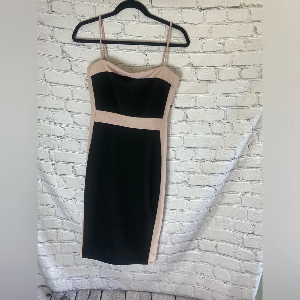 Black and Blush Contrast Sheath Dress - Women